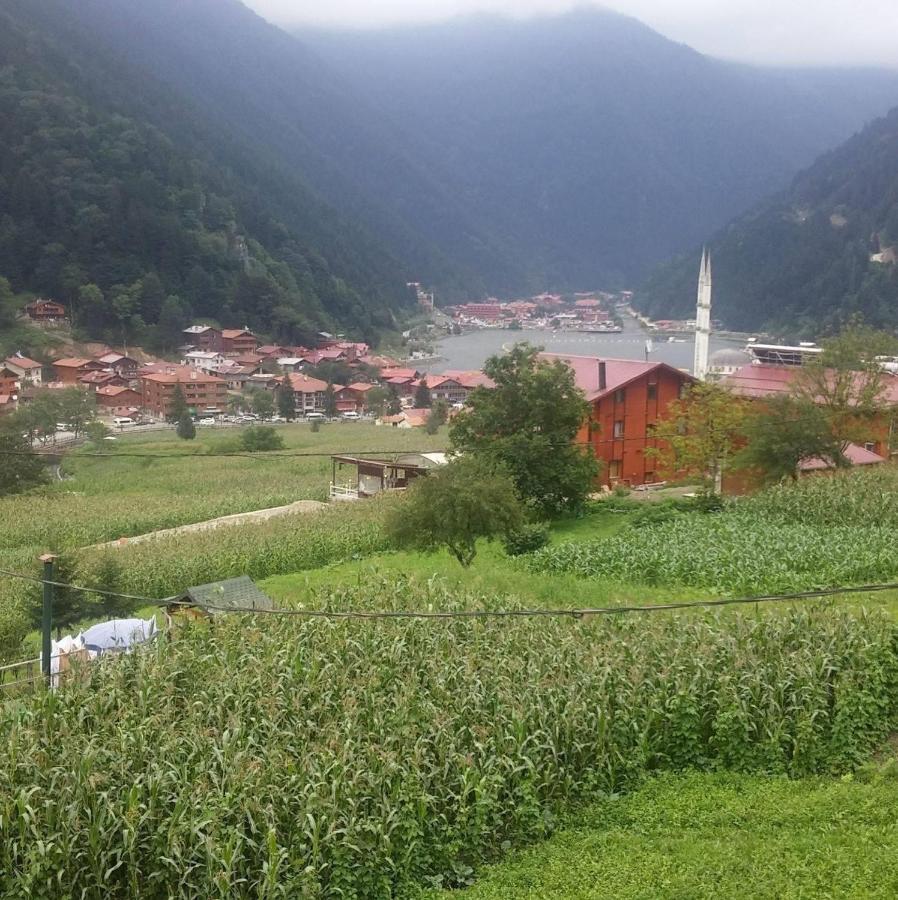 Aparthotel Zeren Bungalov Uzungöl Exteriér fotografie