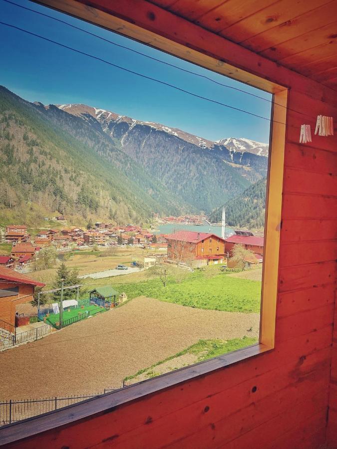 Aparthotel Zeren Bungalov Uzungöl Exteriér fotografie