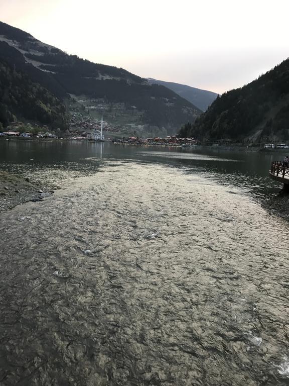 Aparthotel Zeren Bungalov Uzungöl Exteriér fotografie